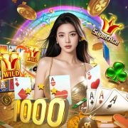 B1 bet baixar